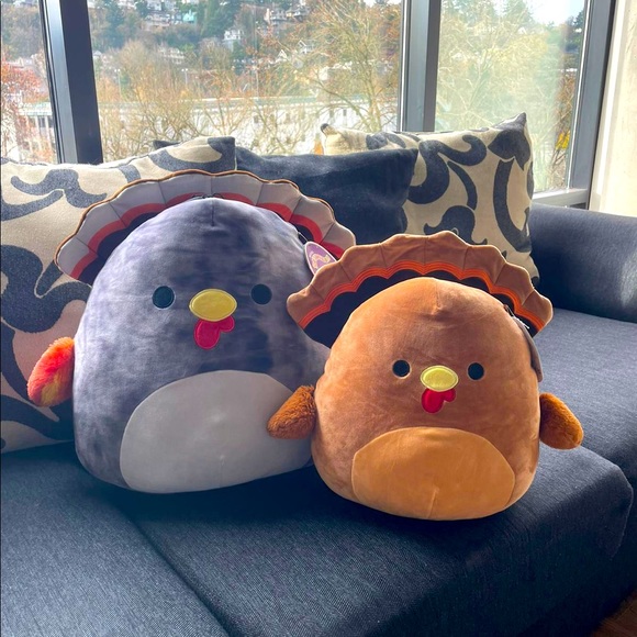 Meet your Posher, Hedeliza - Picture 1 of 1